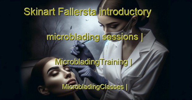 Skinart Fallersta introductory microblading sessions | MicrobladingTraining | MicrobladingClasses | SkinartTraining-Sweden